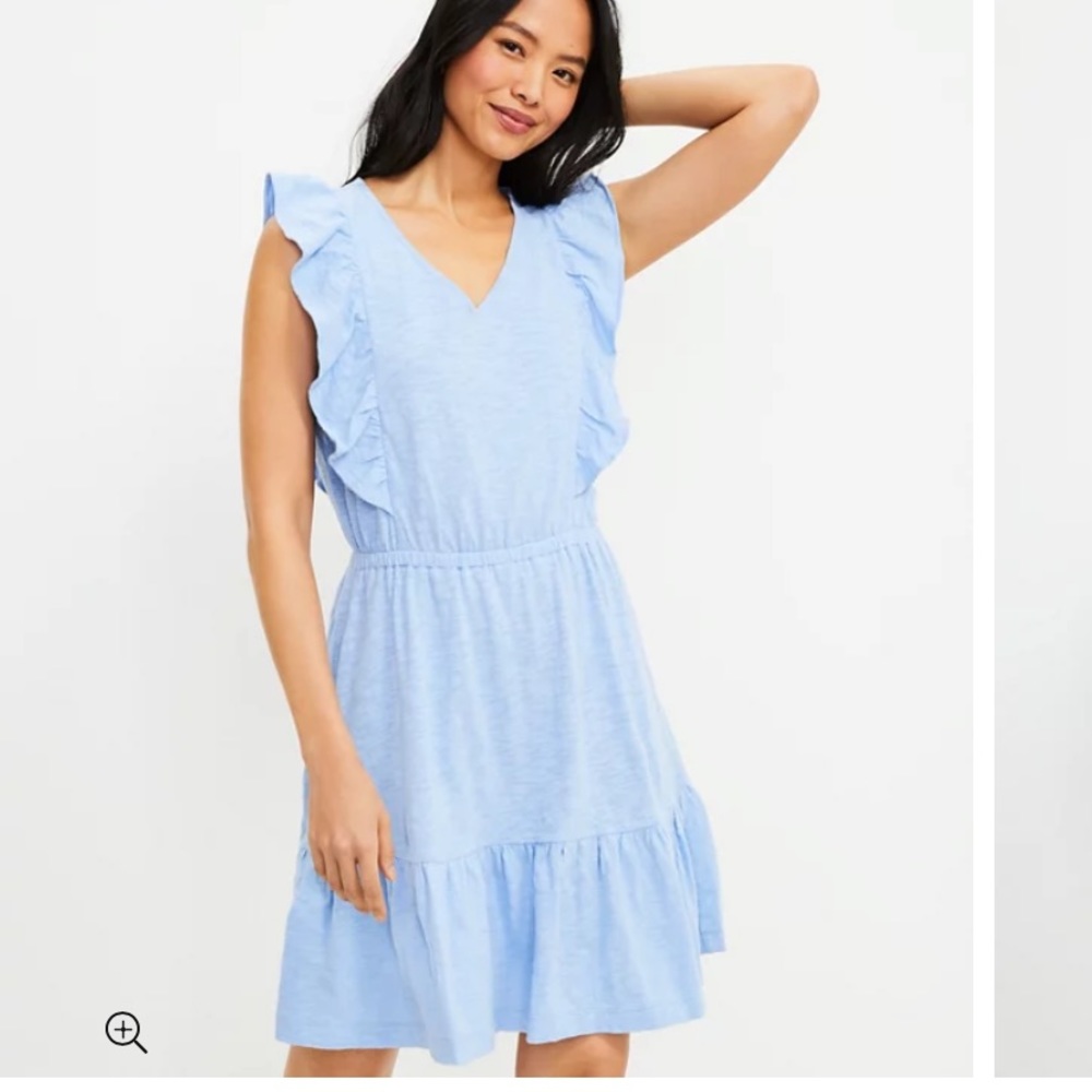 Loft Flare Dress